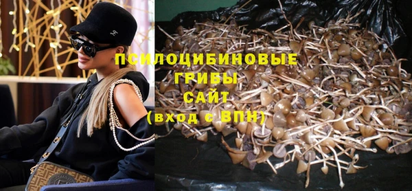 первитин Нея