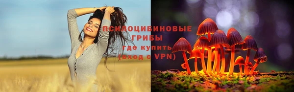 первитин Нея