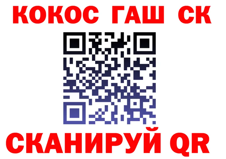АМФ VHQ как войти площадка блэк спрут Александровск-Сахалинский