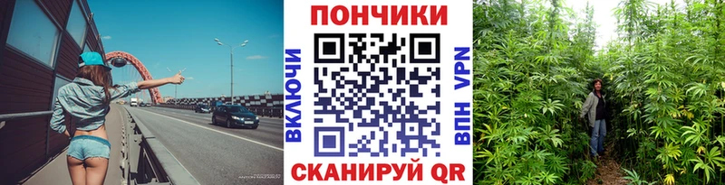 Бошки Шишки Ganja Александровск-Сахалинский